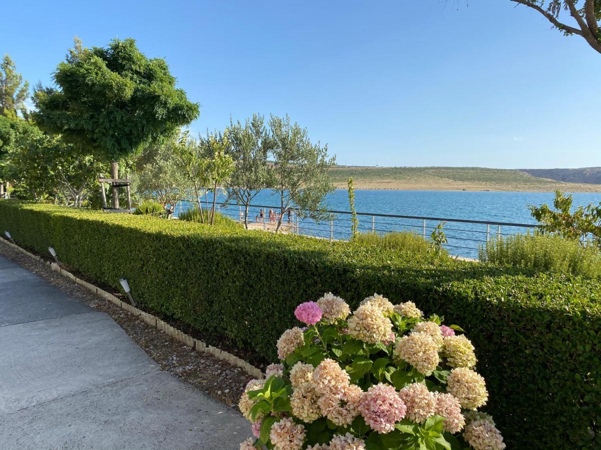 Villa Punta Rovanjska Εξωτερικό φωτογραφία
